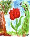 Zsuzsi bartnm ris tulipnja, a mese tletadja
